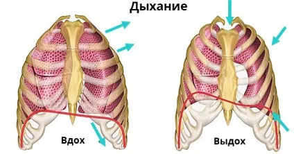 Управління диханням красиво співати значить правильно дихати, співай як діва (диханням) Управління диханням красиво співати значить правильно дихати, співай як діва