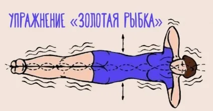 Вправа золота рибка правила виконання (вправи «Золота рибка») Вправа золота рибка правила виконання