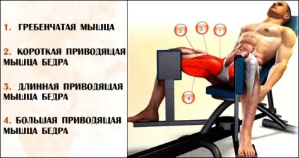 Вправи для пахових м'язів для чоловіків будь сильним всюди (вправи) Вправи для пахових м'язів для чоловіків будь сильним всюди