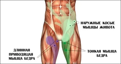 Вправи для пахових м'язів для чоловіків будь сильним всюди (вправи) Вправи для пахових м'язів для чоловіків будь сильним всюди