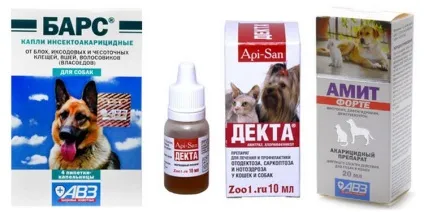Вушний кліщ у собак симптоми і лікування, огляд ліків (симптоми) Вушний кліщ у собак симптоми і лікування, огляд ліків