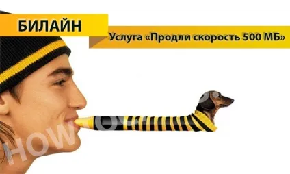 Послуга «продовж швидкість 500 мб» від Білайн - опис, підключення і відключення послуги продовж (билайн) Послуга «продовж швидкість 500 мб» від Білайн - опис, підключення і відключення послуги продовж
