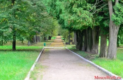 Садиба Марфино - прогулянки по москві, прогулянки (пам'ятки Марфино) Садиба Марфино - прогулянки по москві, прогулянки