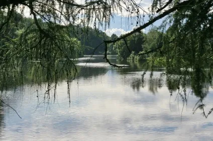 Садиба Марфино історичний нарис і основні визначні пам'ятки (пам'ятки) Садиба Марфино історичний нарис і основні визначні пам'ятки