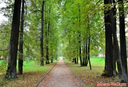 Садиба Марфино - прогулянки по москві, прогулянки (Марфино) Садиба Марфино - прогулянки по москві, прогулянки