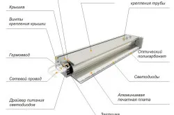 Пристрій теплиці своїми руками (теплиці) Пристрій теплиці своїми руками