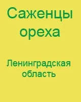 Вакцинація проти кліщового енцефаліту (проти кліщового енцефаліту) Вакцинація проти кліщового енцефаліту