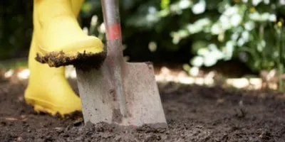 Догляд за грунтом опис необхідних заходів