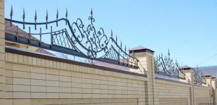 Візерунки на зборах своїми руками, залізні огорожі з профнастилу з малюнками, інструкція, фото і (візерунки) Візерунки на зборах своїми руками, залізні огорожі з профнастилу з малюнками, інструкція, фото і