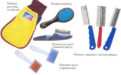 Догляд за довгошерстими кішками