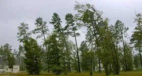 Вітер - явище природи
