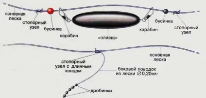 Століття лови - вік учись