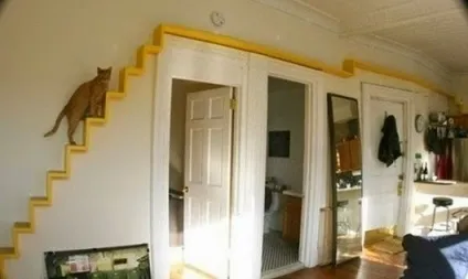 Речі, які захоче мати ваша кішка, one of lady - журнал для жінок (які) Речі, які захоче мати ваша кішка, one of lady - журнал для жінок