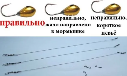 Століття лови - вік учись
