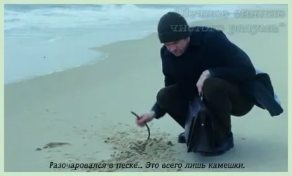 Вічне сяйво чистого розуму, цитати з фільму (фільму) Вічне сяйво чистого розуму, цитати з фільму