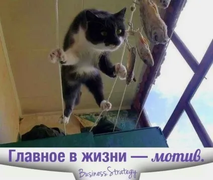 Надихаючі цитати від Бернарда, завжди у формі!