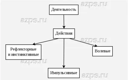 види дій