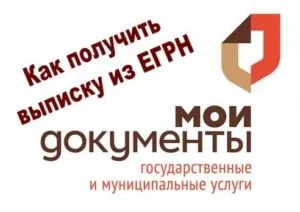 Виписка з ЕГРП на дду - які відомості містить, і як її отримати (якому зводиться об'єкт) Виписка з ЕГРП на дду - які відомості містить, і як її отримати
