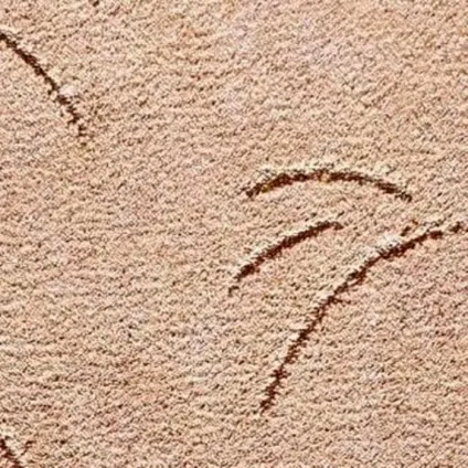 Види лінолеуму, фото, властивості, ціни, книга будівельника (ціни) Види лінолеуму, фото, властивості, ціни, книга будівельника