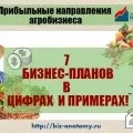 Вирощування індички як бізнес чи вигідно