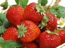 Вирощування в теплиці овочів на продаж (займатися тільки вирощуванням) Вирощування в теплиці овочів на продаж