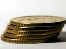 Вирощування в теплиці овочів на продаж (овочі на продаж) Вирощування в теплиці овочів на продаж