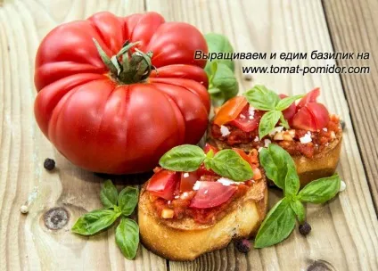 Вирощування базиліка в теплиці і на віконці, вирощування томатів на дачній ділянці (томатів) Вирощування базиліка в теплиці і на віконці, вирощування томатів на дачній ділянці
