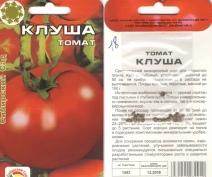 Вирощування помідорів посадка і що садити поруч, догляд разом за методом маслова, як вирощувати (посадка) Вирощування помідорів посадка і що садити поруч, догляд разом за методом маслова, як вирощувати