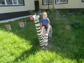 Конкурсні фотороботи (1 (Муніципальне автономне дошкільний) Конкурсні фотороботи (1