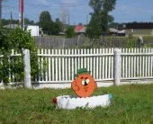 Конкурсні фотороботи (1 (автономне дошкільний навчальний заклад) Конкурсні фотороботи (1