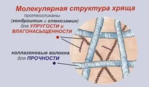 Колаген для суглобів і хребта (порошок, капсули) відгуки, особливості прийому (хребта) Колаген для суглобів і хребта (порошок, капсули) відгуки, особливості прийому