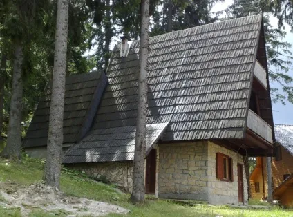 комбінований будинок
