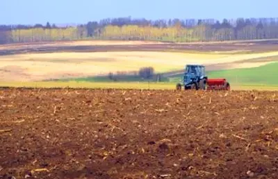 Чому агроекосистеми менш стійка, ніж природна екосистема (чому) Чому агроекосистеми менш стійка, ніж природна екосистема