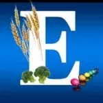 Вітамін е для чоловіків навіщо і як вживати
