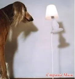 Вкрутить ваша собака лампочку