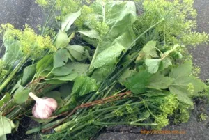 Смачні мариновані огірки на зиму (мариновані) Смачні мариновані огірки на зиму