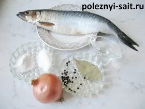Смачна маринований оселедець в домашніх умовах, рецепти з фото