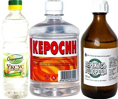 Виведення вошей найефективнішими народними засобами (засобами) Виведення вошей найефективнішими народними засобами