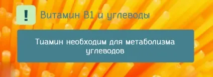 Вітамін b1 в продуктах харчування де знаходиться і для чого потрібен тіамін (вітамін) Вітамін b1 в продуктах харчування де знаходиться і для чого потрібен тіамін