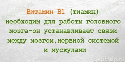 Вітамін в1 (тіамін), для чого потрібен, наслідки дефіциту (чого) Вітамін в1 (тіамін), для чого потрібен, наслідки дефіциту