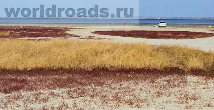 Вітязевський лиман - цілюще озеро вітязево, дороги світу (Вітязевський) Вітязевський лиман - цілюще озеро вітязево, дороги світу