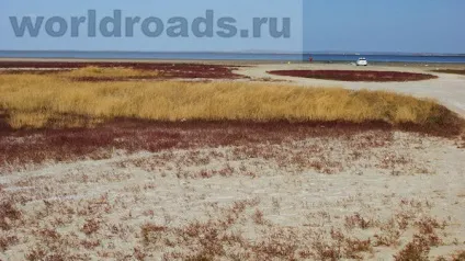 Вітязевський лиман - цілюще озеро вітязево, дороги світу (Вітязевський) Вітязевський лиман - цілюще озеро вітязево, дороги світу