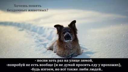 Ви знаєте, як пахне ... біль або страх (знаєте) Ви знаєте, як пахне ... біль або страх