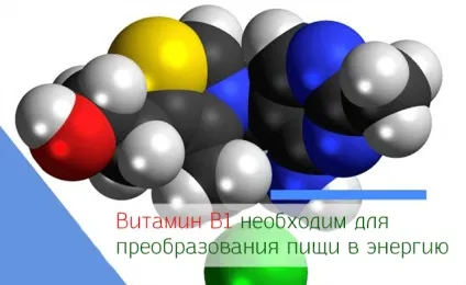 Вітамін b1 в продуктах харчування де знаходиться і для чого потрібен тіамін (продуктах) Вітамін b1 в продуктах харчування де знаходиться і для чого потрібен тіамін