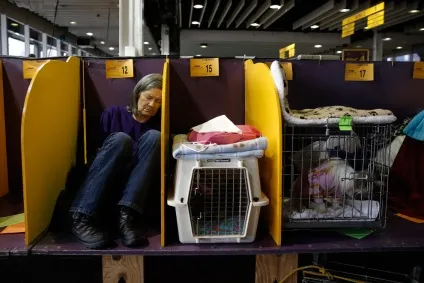 Виставка собак westminster kennel club 2016, fresher - найкраще з рунета за день! (Westminster) Виставка собак westminster kennel club 2016, fresher - найкраще з рунета за день!