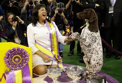 Виставка собак westminster kennel club 2016, fresher - найкраще з рунета за день! (Собак) Виставка собак westminster kennel club 2016, fresher - найкраще з рунета за день!