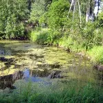 Питання-відповіді - заглибні, шламові, грунтові насоси, розпушувачі грунту, жние, шламові, грунтові (заглибні) Питання-відповіді - заглибні, шламові, грунтові насоси, розпушувачі грунту, жние, шламові, грунтові