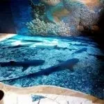 Водостійкий ламінат для ванної кімнати вибір і його монтаж (ванною) Водостійкий ламінат для ванної кімнати вибір і його монтаж