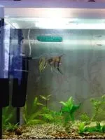 Водяний насос для акваріума