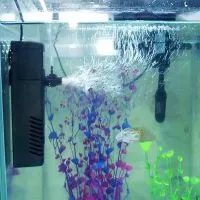 Водяний насос для акваріума